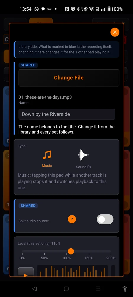 A library pad's settings: the blue banner at the top, and two blocks outlined in blue with the "Shared" mark, next to an unmarked block